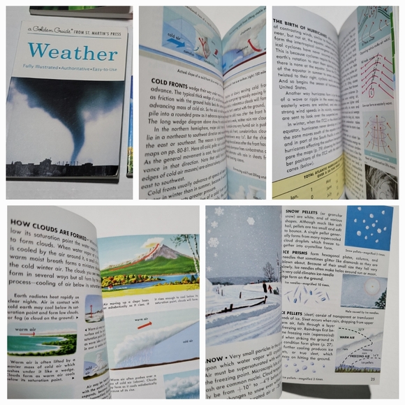 Set of 7 GOLDEN PRESS NATURE / SCIENCE GUIDES Insects, Trees, Birds, Wildflowers - Picture 9 of 10